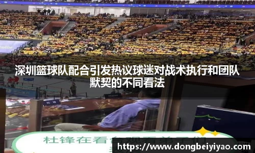 深圳篮球队配合引发热议球迷对战术执行和团队默契的不同看法